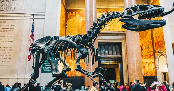 Tours virtuales para museos